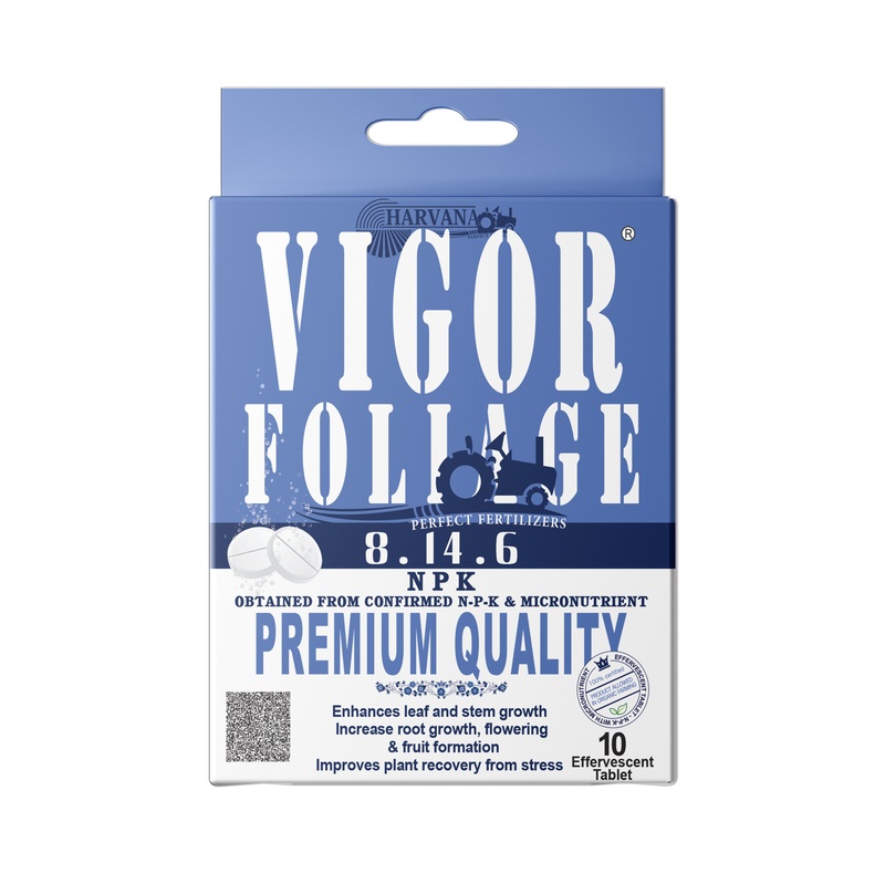 π½πΏπΊ πΎ-π·πΊ-πΌ (ππππππππππππ πππππππ) π½πΏπΊ πΎ-π·πΊ-πΌ (ππππππππππππ πππππππ)