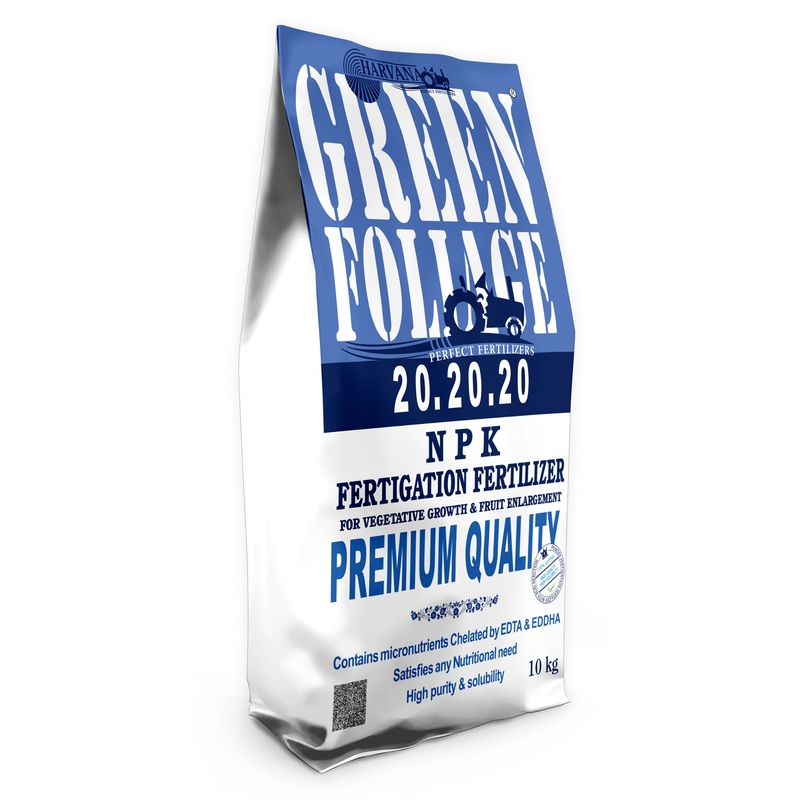 𝙶𝚁𝙴𝙴𝙽 𝙵𝙾𝙻𝙸𝙰𝙶𝙴 𝟸𝟶-𝟸𝟶-𝟸𝟶