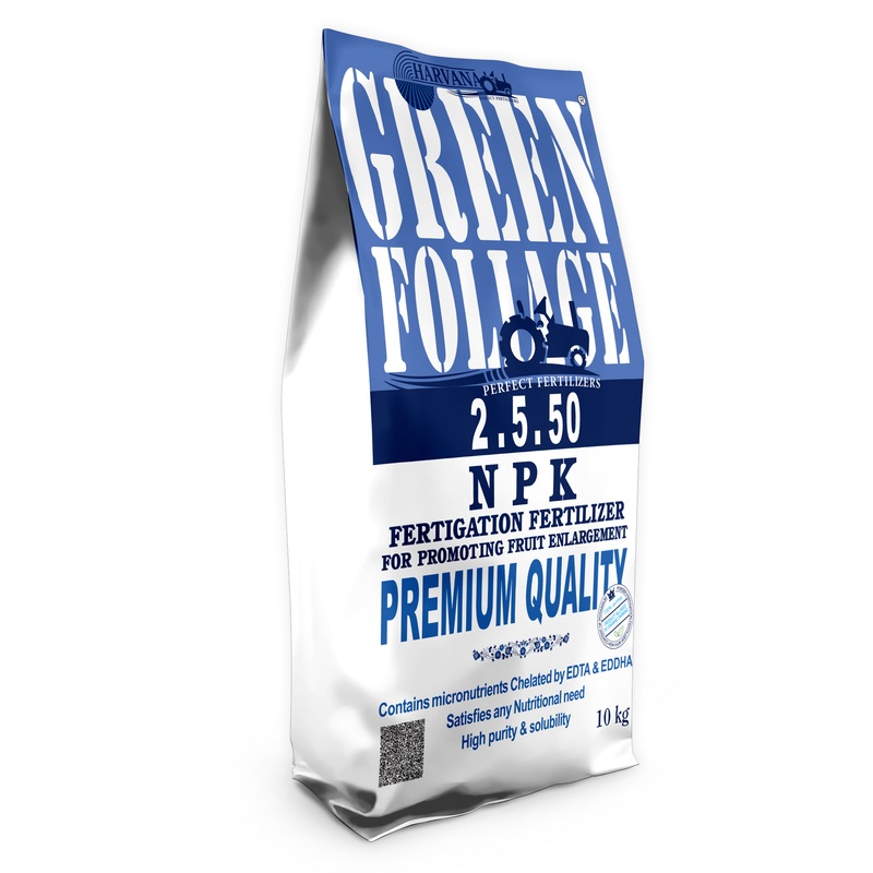 𝙶𝚁𝙴𝙴𝙽 𝙵𝙾𝙻𝙸𝙰𝙶𝙴 𝟸-𝟻-𝟻𝟶