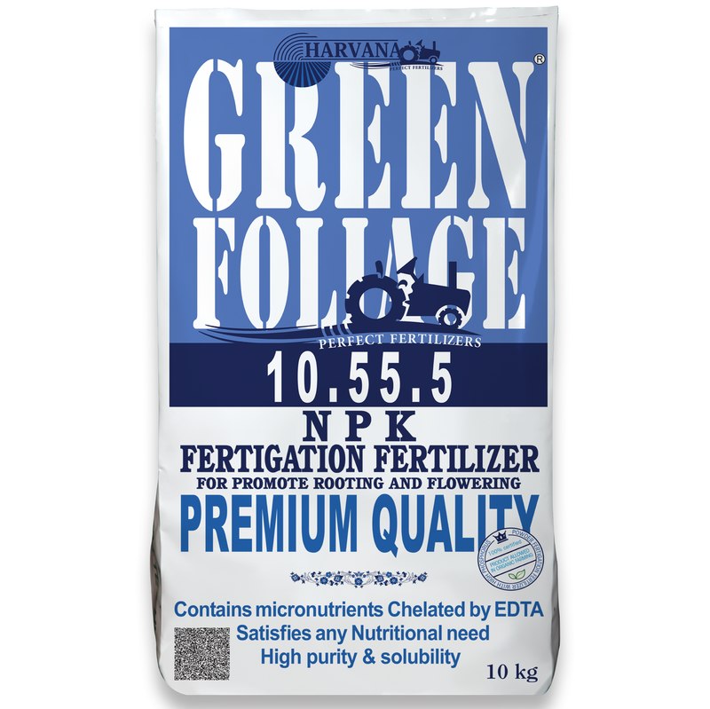 𝙶𝚁𝙴𝙴𝙽 𝙵𝙾𝙻𝙸𝙰𝙶𝙴 𝟷𝟶-𝟻𝟻-𝟻