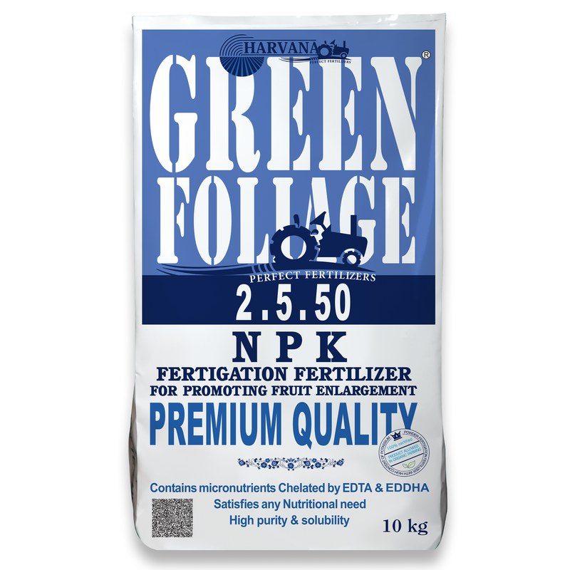 𝙶𝚁𝙴𝙴𝙽 𝙵𝙾𝙻𝙸𝙰𝙶𝙴 𝟸-𝟻-𝟻𝟶