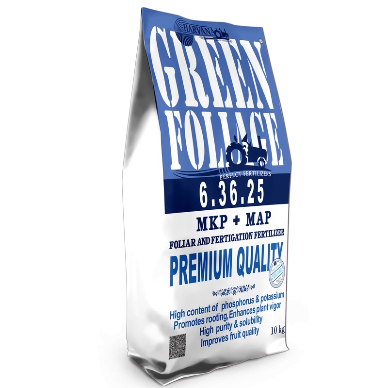 𝙶𝚁𝙴𝙴𝙽 𝙵𝙾𝙻𝙸𝙰𝙶𝙴 𝟼-𝟹𝟼-𝟸𝟻