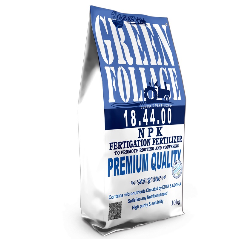 𝙶𝚁𝙴𝙴𝙽 𝙵𝙾𝙻𝙸𝙰𝙶𝙴 𝟷𝟾-𝟺𝟺-𝟶𝟶