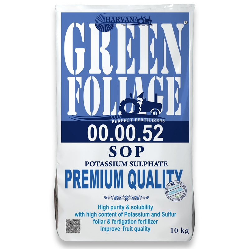 𝙶𝚁𝙴𝙴𝙽 𝙵𝙾𝙻𝙸𝙰𝙶𝙴 𝟶𝟶-𝟶𝟶-𝟻𝟸