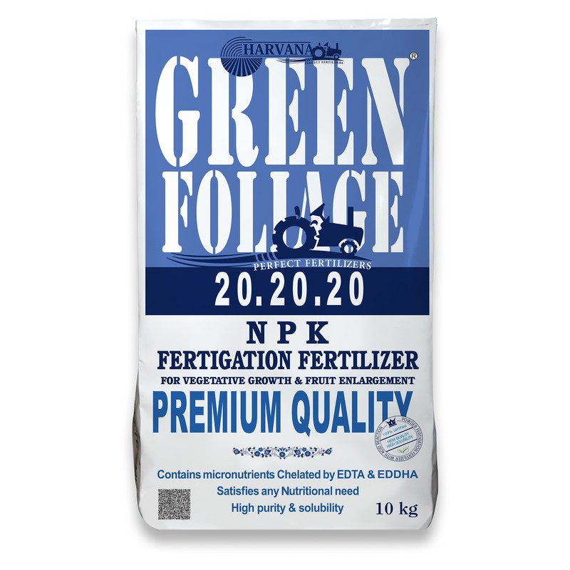 𝙶𝚁𝙴𝙴𝙽 𝙵𝙾𝙻𝙸𝙰𝙶𝙴 𝟸𝟶-𝟸𝟶-𝟸𝟶