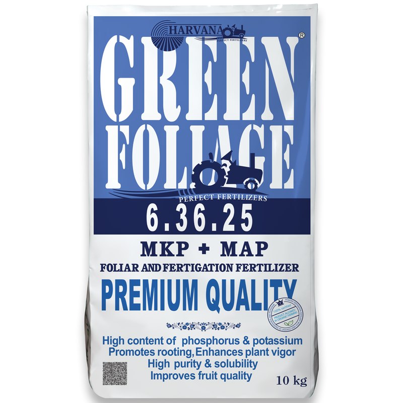 𝙶𝚁𝙴𝙴𝙽 𝙵𝙾𝙻𝙸𝙰𝙶𝙴 𝟼-𝟹𝟼-𝟸𝟻