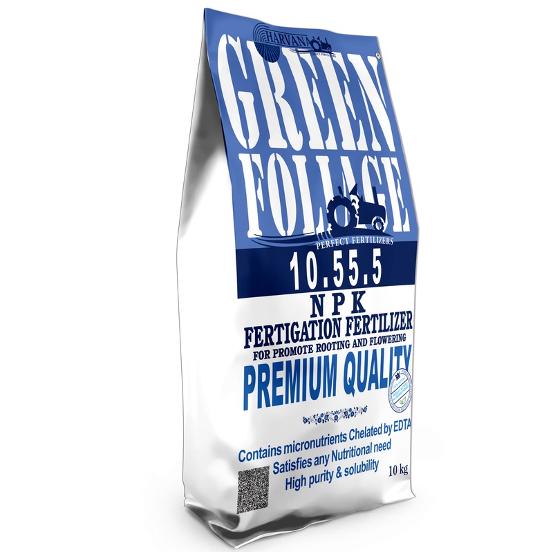 𝙶𝚁𝙴𝙴𝙽 𝙵𝙾𝙻𝙸𝙰𝙶𝙴 𝟷𝟶-𝟻𝟻-𝟻