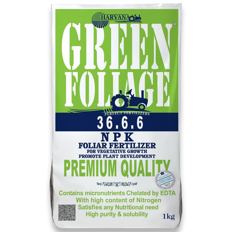 𝙶𝚁𝙴𝙴𝙽 𝙵𝙾𝙻𝙸𝙰𝙶𝙴 𝟹𝟼-𝟼-𝟼