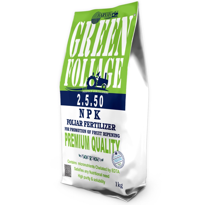 𝙶𝚁𝙴𝙴𝙽 𝙵𝙾𝙻𝙸𝙰𝙶𝙴 𝟸.𝟻.𝟻𝟶