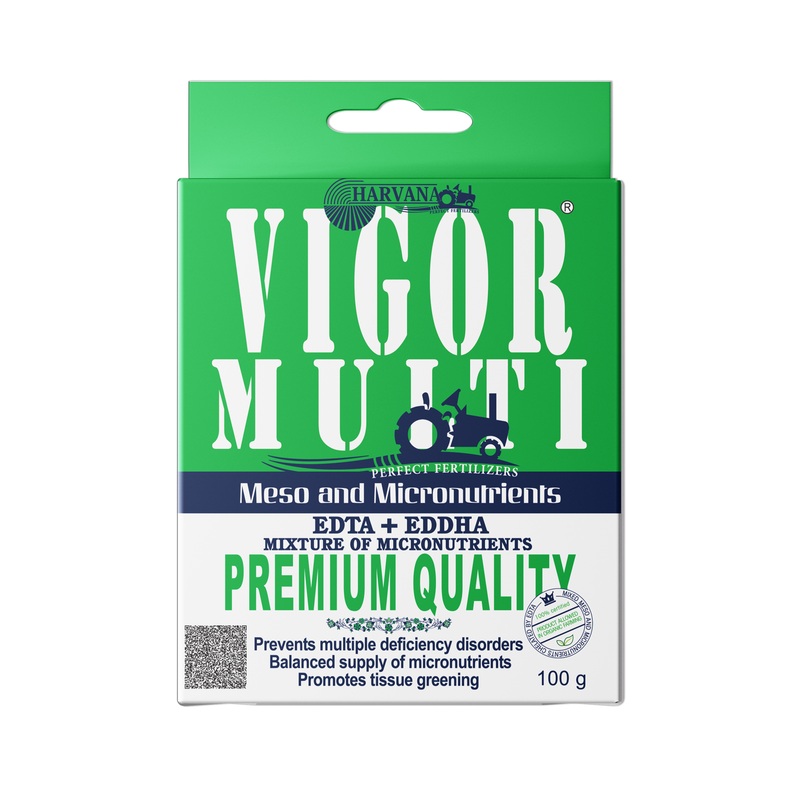 𝚅𝙸𝙶𝙾𝚁 𝙼𝚄𝙻𝚃𝙸