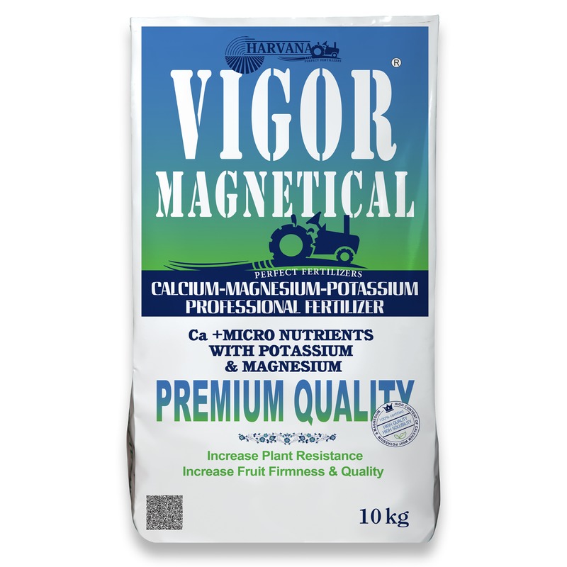 𝚅𝙸𝙶𝙾𝚁 𝙼𝙰𝙶𝙽𝙴𝚃𝙸𝙲𝙰𝙻