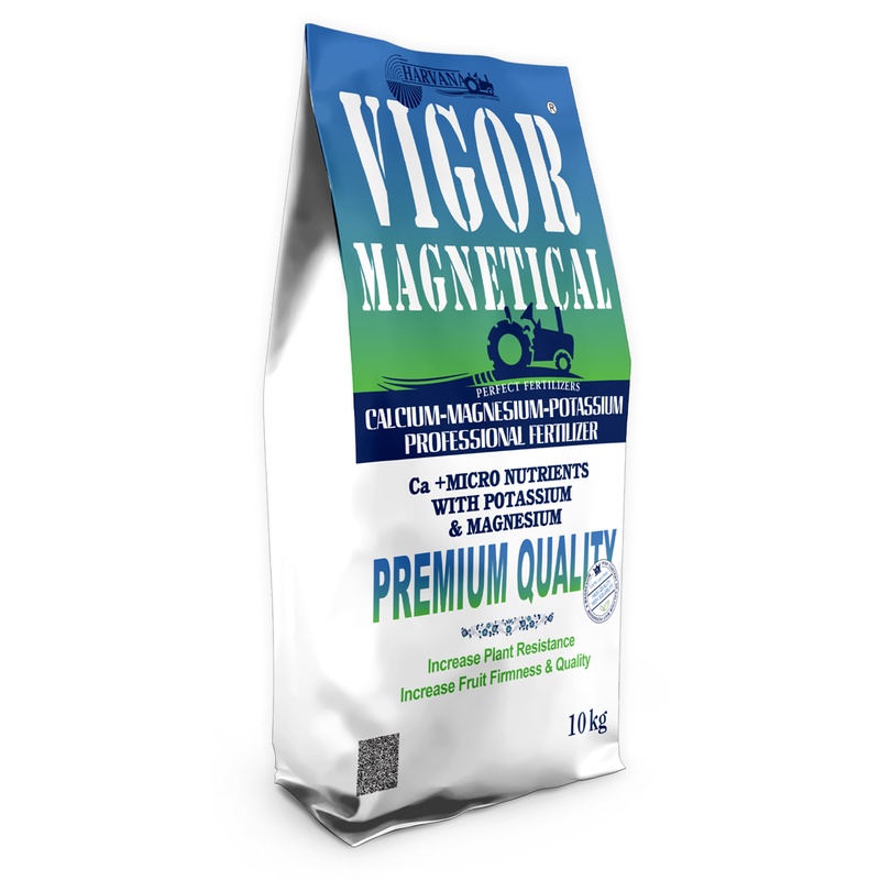 𝚅𝙸𝙶𝙾𝚁 𝙼𝙰𝙶𝙽𝙴𝚃𝙸𝙲𝙰𝙻