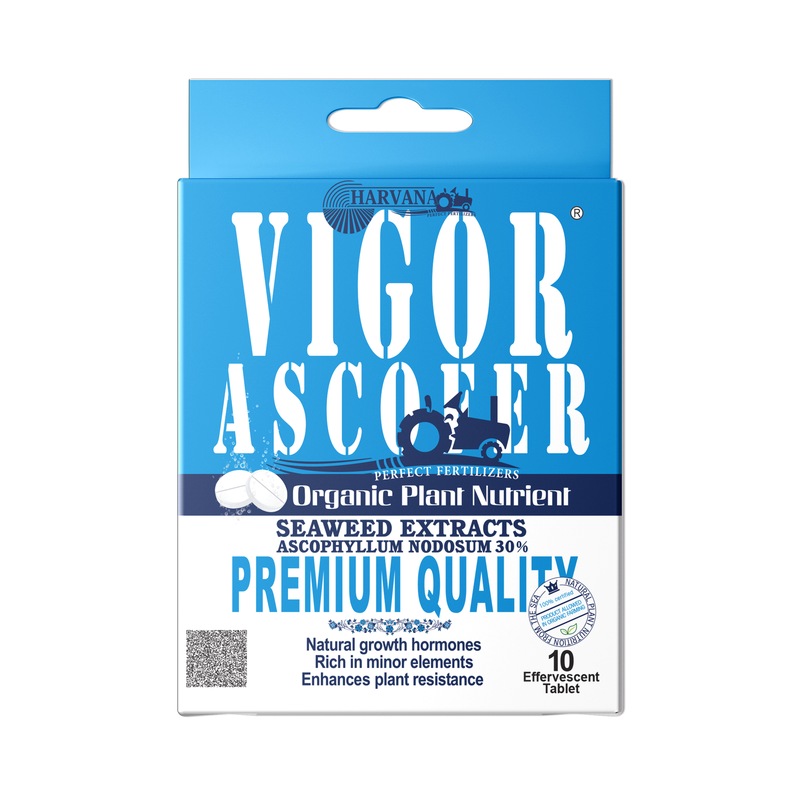 𝚅𝙸𝙶𝙾𝚁 𝙰𝚂𝙲𝙾𝙵𝙴𝚁 (𝚎𝚏𝚏𝚎𝚛𝚟𝚎𝚜𝚌𝚎𝚗𝚝 𝚝𝚊𝚋𝚕𝚎𝚝𝚜)