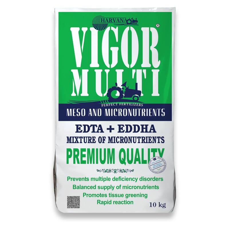 𝚅𝙸𝙶𝙾𝚁 𝙼𝚄𝙻𝚃𝙸