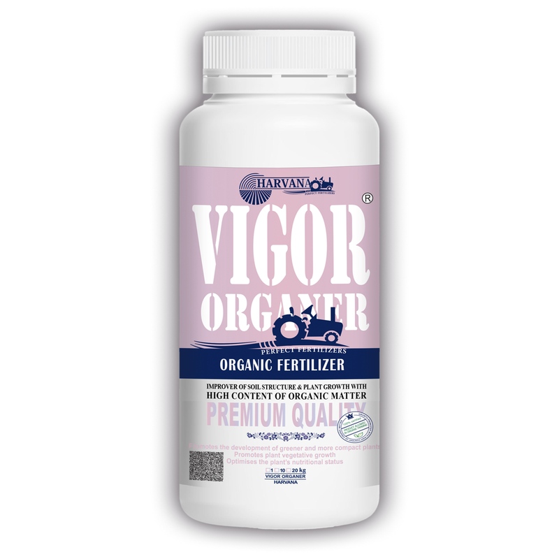 𝚅𝙸𝙶𝙾𝚁 𝙾𝚁𝙶𝙰𝙽𝙴𝚁