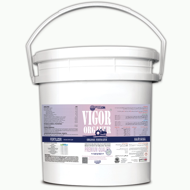 𝚅𝙸𝙶𝙾𝚁 𝙾𝚁𝙶𝙰𝙽𝙴𝚁