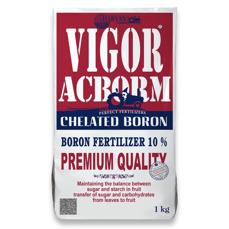 𝚅𝙸𝙶𝙾𝚁 𝙰𝙲𝙱𝙾𝚁𝙼