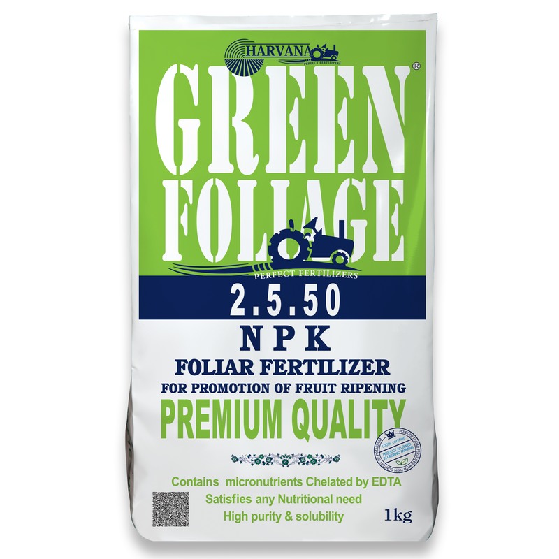 𝙶𝚁𝙴𝙴𝙽 𝙵𝙾𝙻𝙸𝙰𝙶𝙴 𝟸.𝟻.𝟻𝟶