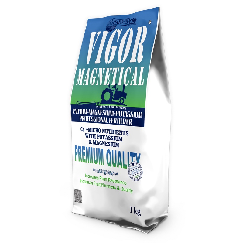 π
πΈπΆπΎπ πΌπ°πΆπ½π΄ππΈπ²π°π» π
πΈπΆπΎπ πΌπ°πΆπ½π΄ππΈπ²π°π»