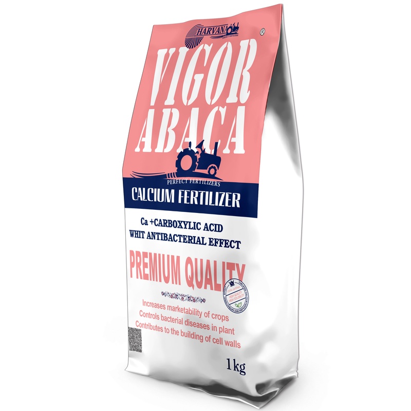 𝚅𝙸𝙶𝙾𝚁 𝙰𝙱𝙰𝙲𝙰