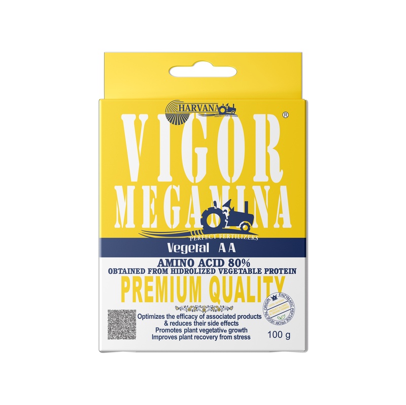 𝚅𝙸𝙶𝙾𝚁 𝙼𝙴𝙶𝙰𝙼𝙸𝙽𝙰