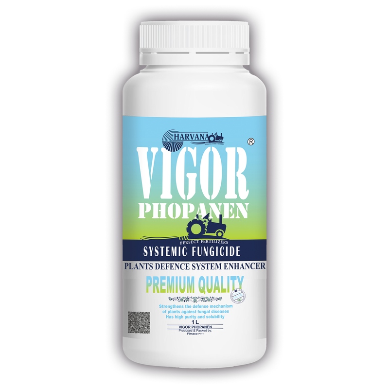 𝚅𝙸𝙶𝙾𝚁 𝙿𝙷𝙾𝙿𝙰𝙽𝙴𝙽