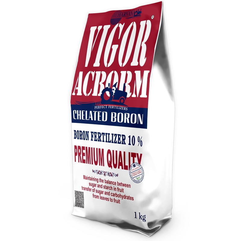 𝚅𝙸𝙶𝙾𝚁 𝙰𝙲𝙱𝙾𝚁𝙼