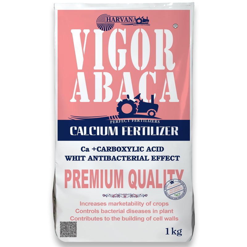 𝚅𝙸𝙶𝙾𝚁 𝙰𝙱𝙰𝙲𝙰