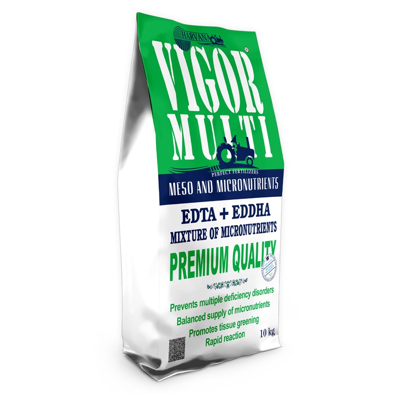 𝚅𝙸𝙶𝙾𝚁 𝙼𝚄𝙻𝚃𝙸