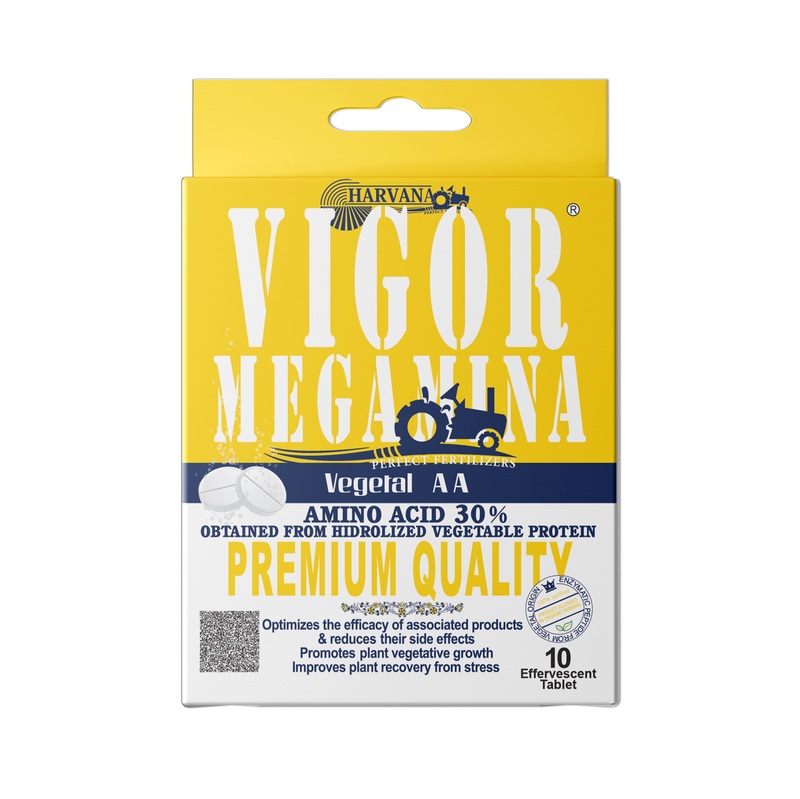 𝚅𝙸𝙶𝙾𝚁 𝙼𝙴𝙶𝙰𝙼𝙸𝙽𝙰 (𝚎𝚏𝚏𝚎𝚛𝚟𝚎𝚜𝚌𝚎𝚗𝚝 𝚝𝚊𝚋𝚕𝚎𝚝𝚜)