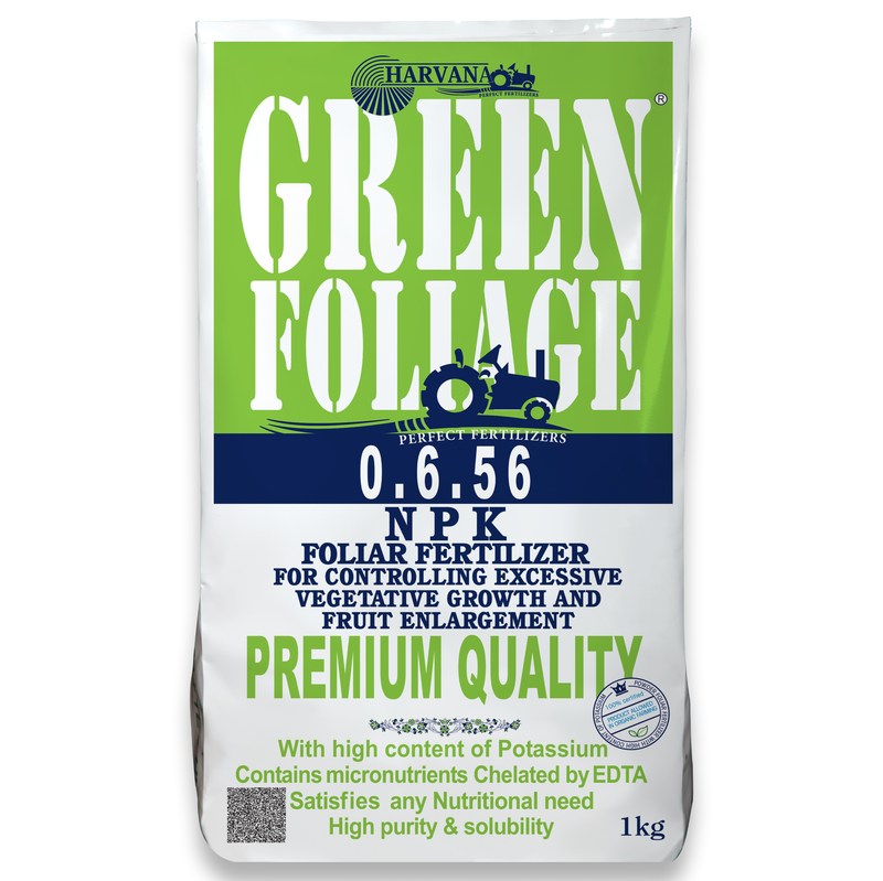 GREEN FOLIAGE 0-6-56