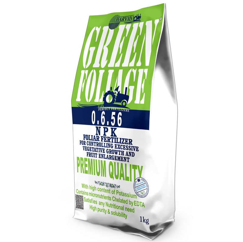 GREEN FOLIAGE 0-6-56