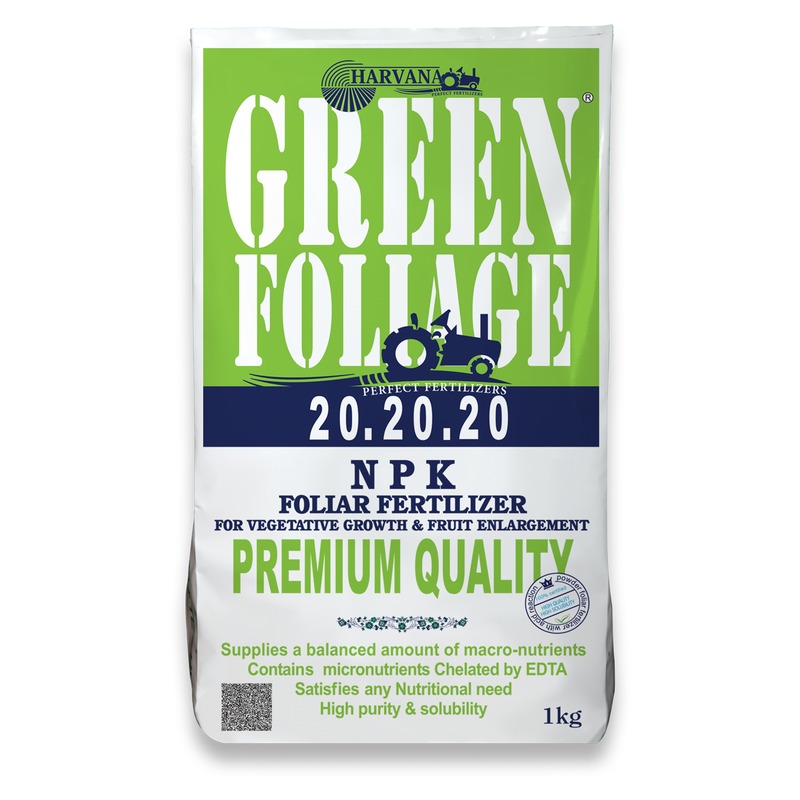 GREEN FOLIAGE 20-20-20 GREEN FOLIAGE 20-20-20