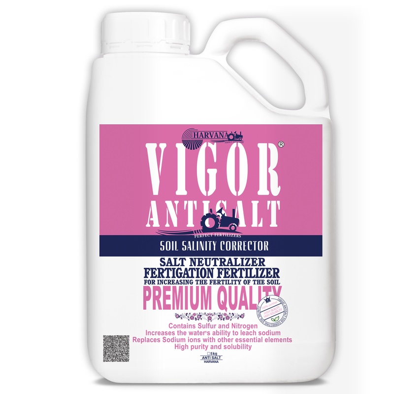 VIGOR ANTISALT