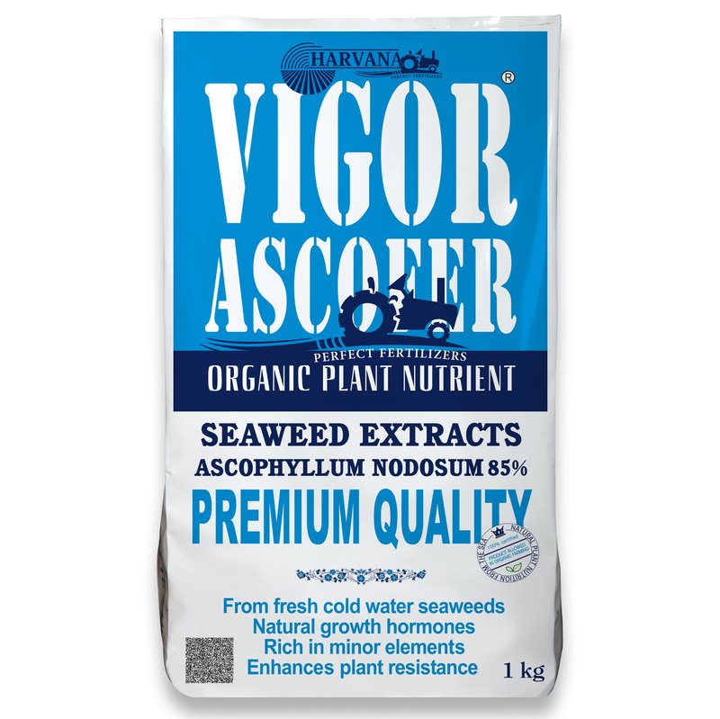 VIGOR ASCOFER VIGOR ASCOFER