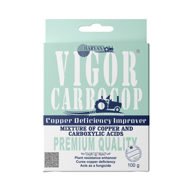 𝚅𝙸𝙶𝙾𝚁 𝙲𝙰𝚁𝙱𝙾𝙲𝙾𝙿