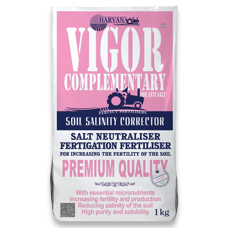 VIGOR COMPLEMENTARY VIGOR COMPLEMENTARY