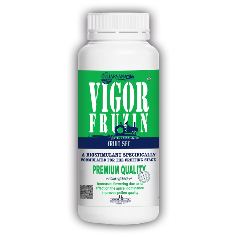 VIGOR FRUZIN VIGOR FRUZIN