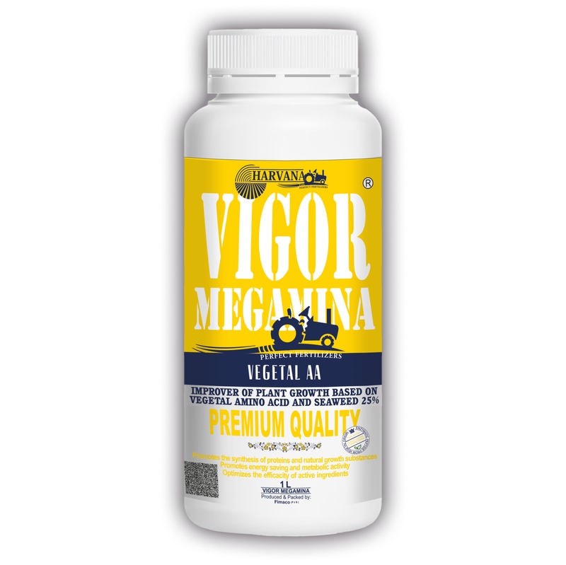  VIGOR MEGAMINA 25%
