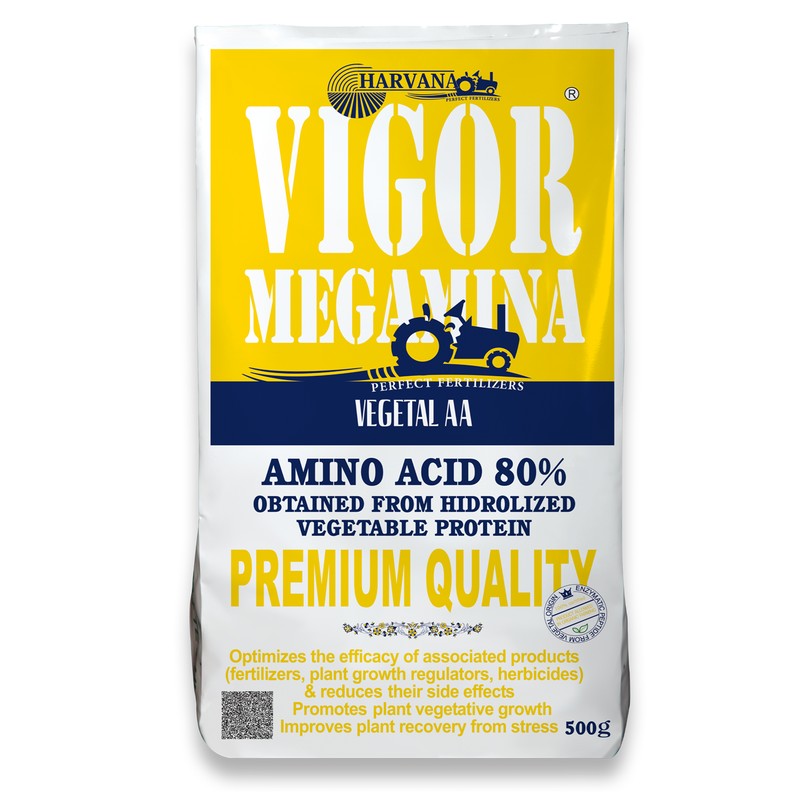 VIGOR MEGAMINA VIGOR MEGAMINA