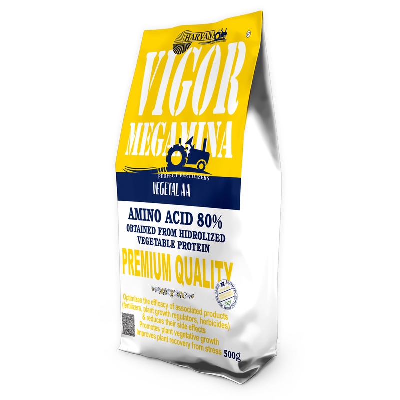 VIGOR MEGAMINA VIGOR MEGAMINA