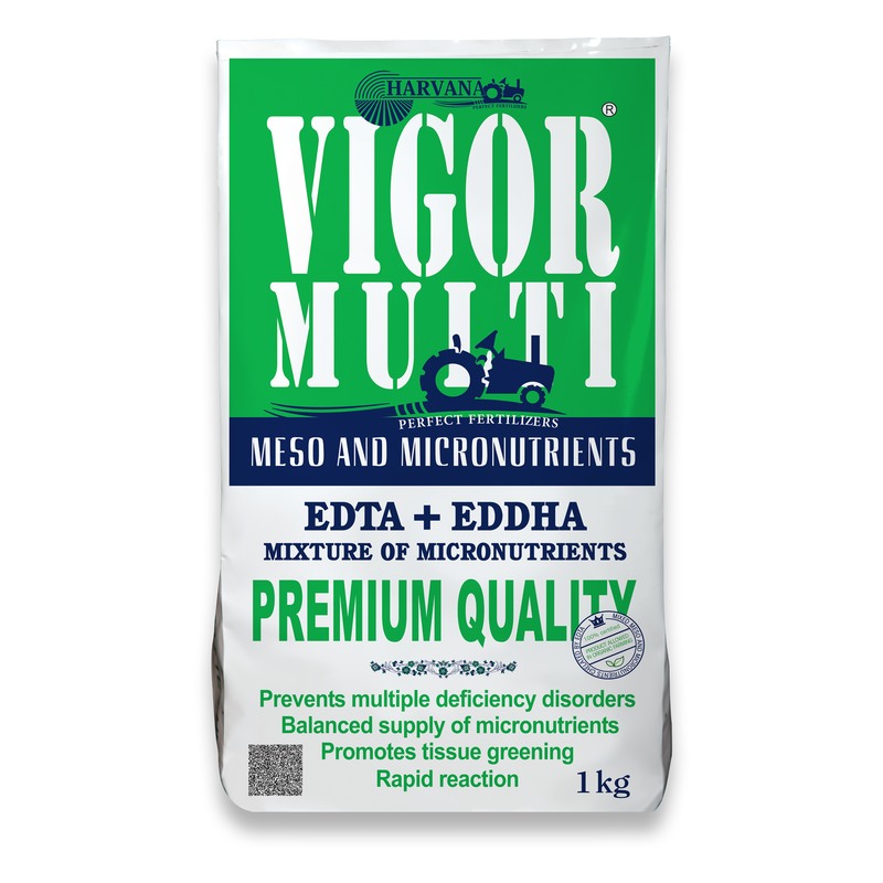VIGOR MULTI VIGOR MULTI
