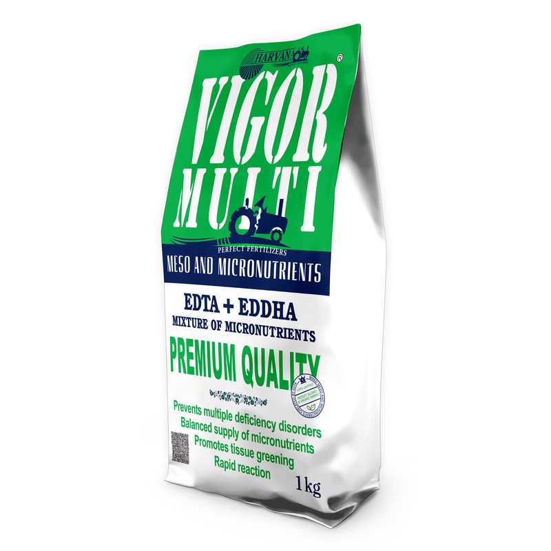 VIGOR MULTI VIGOR MULTI