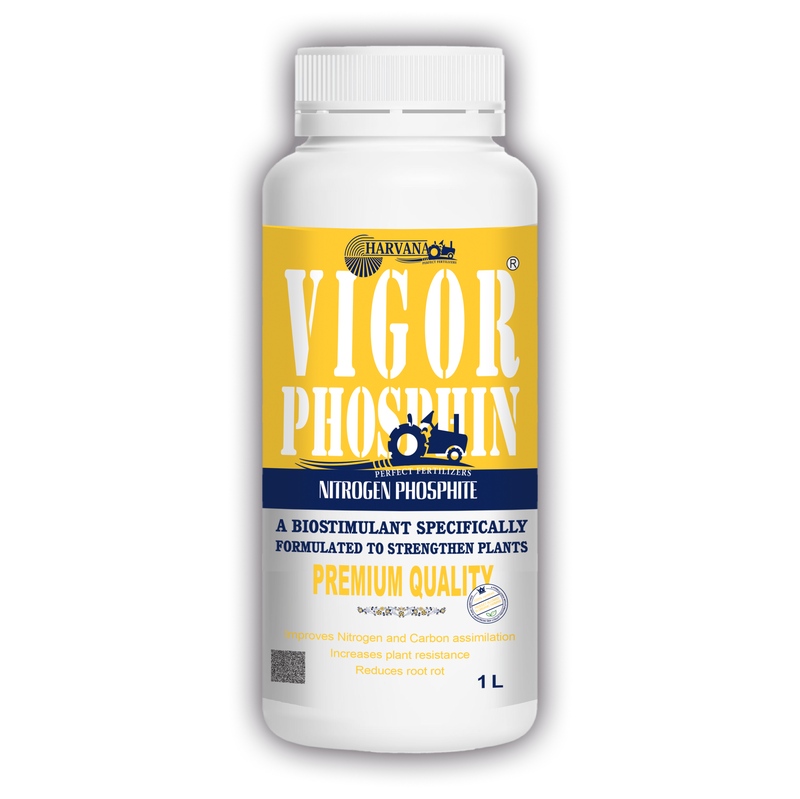 VIGOR PHOSPHIN
