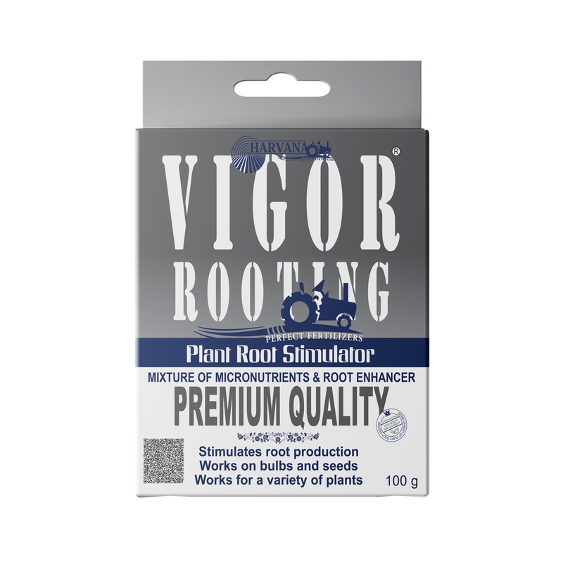 VIGOR ROOTING VIGOR ROOTING